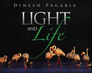 Baixar Light and life pdf, epub, eBook
