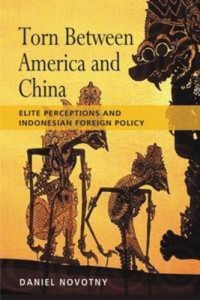 Baixar Torn between america and china: elite pdf, epub, eBook