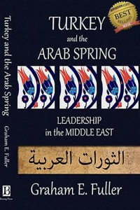 Baixar Turkey and the arab spring: leadership in the pdf, epub, eBook