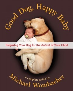 Baixar Good dog, happy baby pdf, epub, eBook
