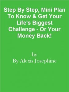 Baixar Step by step, mini plan to know & get your pdf, epub, eBook