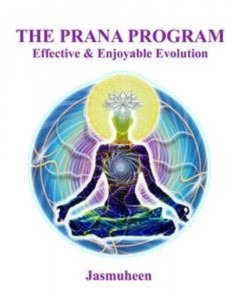 Baixar Prana program – effective & enjoyable pdf, epub, eBook