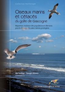 Baixar Oiseaux marins et cetaces du golfe de gascogne pdf, epub, eBook