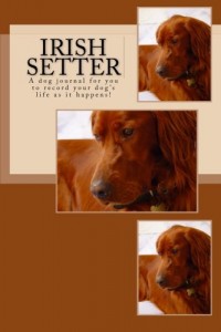 Baixar Irish setter pdf, epub, eBook