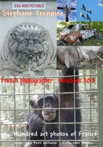 Baixar French photographer: notebook 2012 pdf, epub, eBook