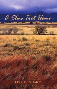 Baixar Slow trot home, a pdf, epub, eBook