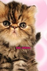 Baixar Girl journal – cute cat journal with 100 pink pdf, epub, eBook