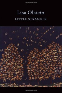 Baixar Little stranger pdf, epub, eBook