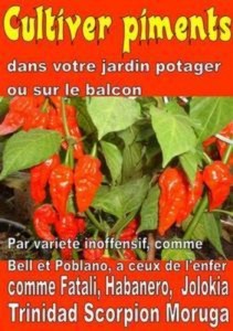 Baixar Cultiver piments dans votre jardin potager ou pdf, epub, eBook