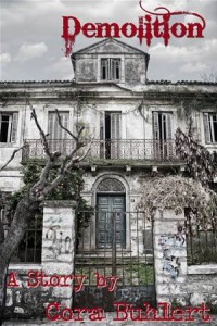 Baixar Demolition pdf, epub, eBook