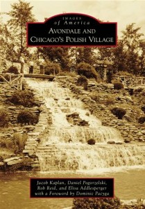 Baixar Avondale and chicago’s polish village pdf, epub, eBook