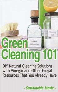 Baixar Green cleaning 101 pdf, epub, eBook
