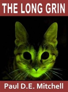 Baixar Long grin, the pdf, epub, eBook