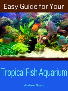 Baixar Easy guide for your tropical fish aquarium pdf, epub, eBook