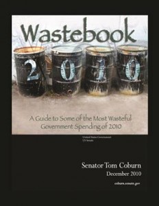 Baixar Wastebook 2010 pdf, epub, eBook