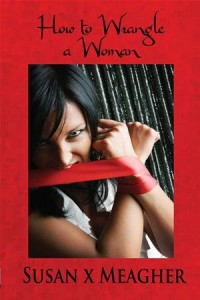 Baixar How to wrangle a woman pdf, epub, eBook