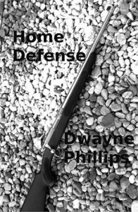 Baixar Home defense pdf, epub, eBook