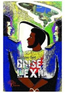 Baixar Brise par l’exil pdf, epub, eBook