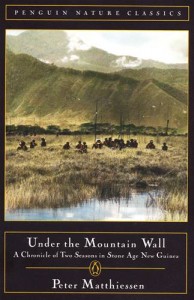 Baixar Under the mountain wall pdf, epub, eBook