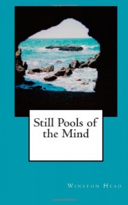 Baixar Still pools of the mind pdf, epub, eBook