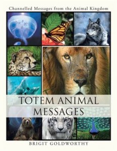 Baixar Totem animal messages pdf, epub, eBook
