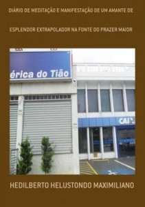 Baixar DiÁrio De MeditaÇÃo E ManifestaÇÃo De Um Amante De pdf, epub, eBook