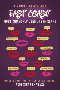 Baixar East coast most commonly used urban slang pdf, epub, eBook