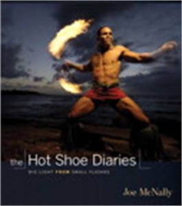 Baixar Hot shoe diaries: big light from small pdf, epub, eBook