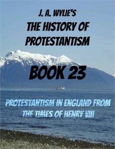 Baixar Protestantism in england from the times of henry pdf, epub, eBook