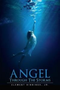 Baixar Angel through the storms pdf, epub, eBook