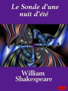 Baixar Le Sonde d'une nuit d'ét pdf, epub, eBook