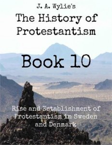 Baixar Rise and establishment of protestantism in pdf, epub, eBook