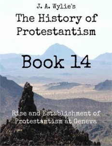 Baixar Rise and establishment of protestantism at pdf, epub, eBook
