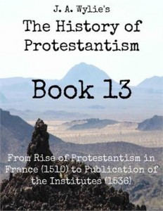 Baixar From rise of protestantism in france (1510) to pdf, epub, eBook