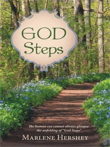 Baixar God steps pdf, epub, eBook