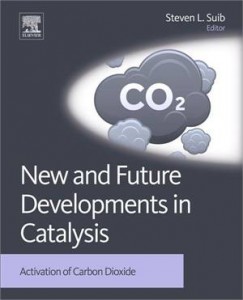 Baixar New and future developments in catalysis pdf, epub, eBook