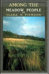 Baixar Among the meadow people pdf, epub, eBook