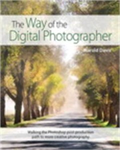 Baixar Way of the digital photographer, the pdf, epub, eBook