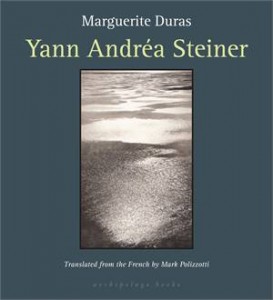 Baixar Yann andrea steiner pdf, epub, eBook