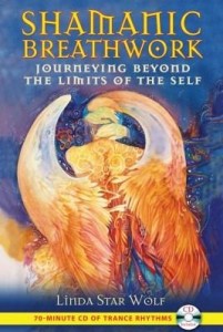 Baixar Shamanic Breathwork: Journeying beyond the Limits of the Self pdf, epub, eBook