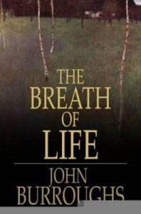Baixar The Breath of Life pdf, epub, eBook