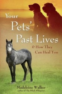 Baixar Your Pets' Past Lives: & How They Can Heal You pdf, epub, eBook