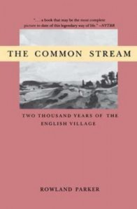 Baixar Common stream, the pdf, epub, eBook