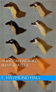 Baixar American weasels (illustrated) pdf, epub, eBook