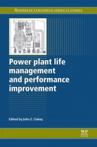 Baixar Power plant life management and performance pdf, epub, eBook