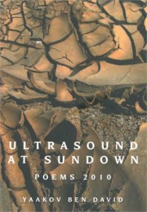 Baixar Ultrasound at sundown pdf, epub, eBook