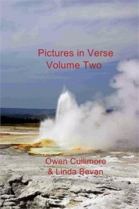 Baixar Pictures in verse volume two pdf, epub, eBook