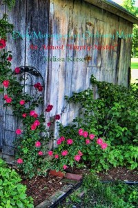 Baixar Daily musings of an ordinary mom pdf, epub, eBook