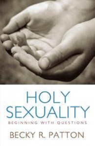 Baixar Holy sexuality pdf, epub, eBook