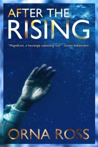 Baixar After the rising: a novel (an irish trilogy book pdf, epub, eBook